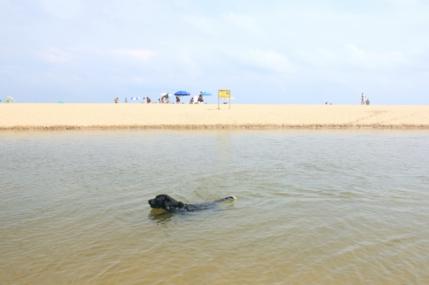20140912163814-ecf63090.jpg