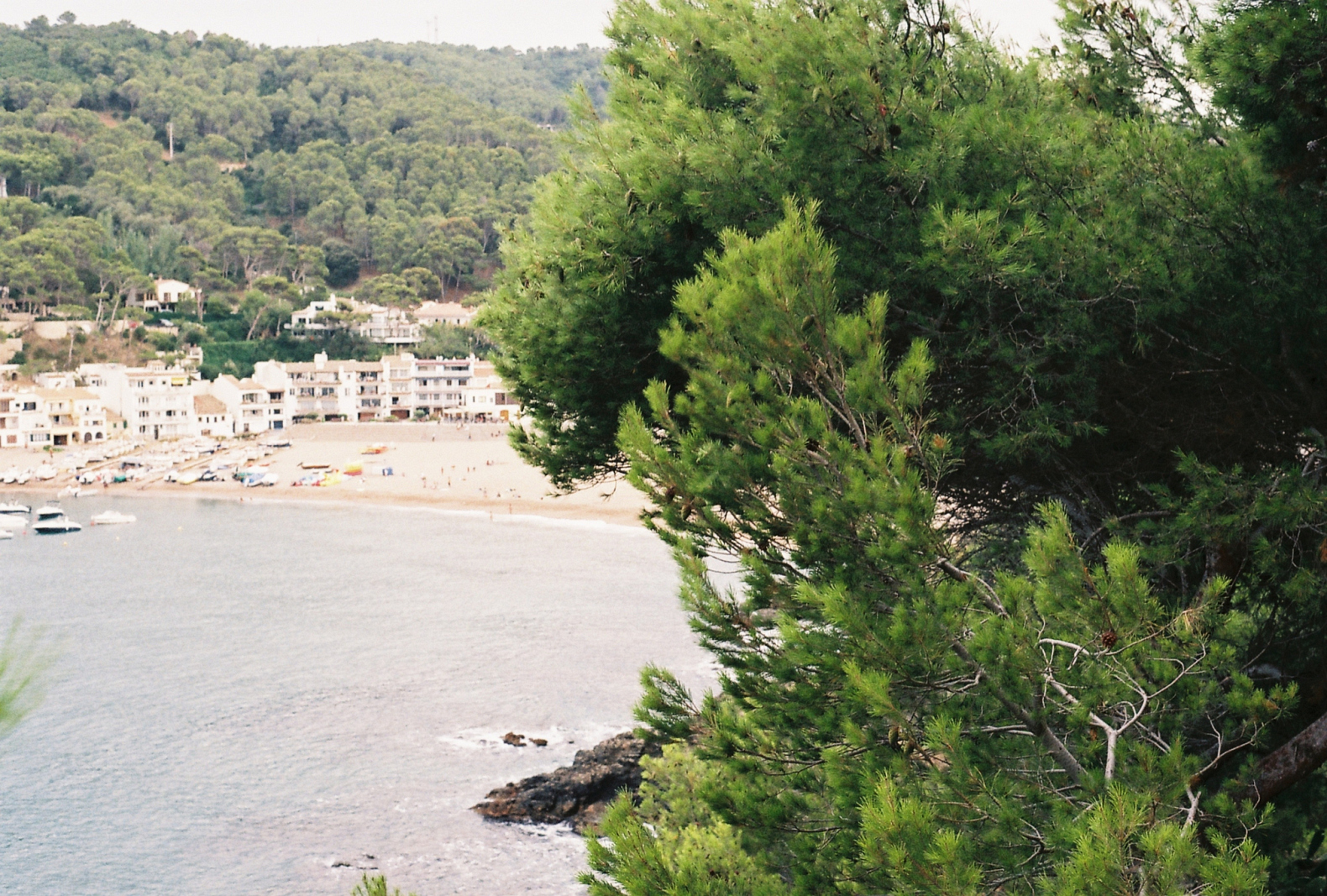 f1000005_1378652802.jpg