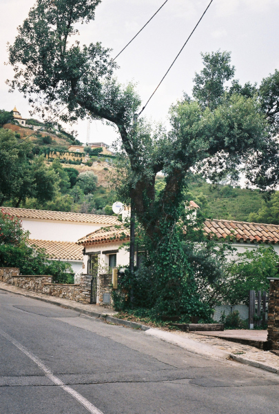 f1000020_1378571588.jpg