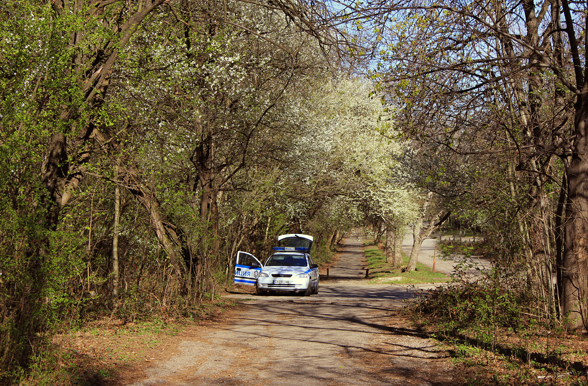 img_3790copy.jpg