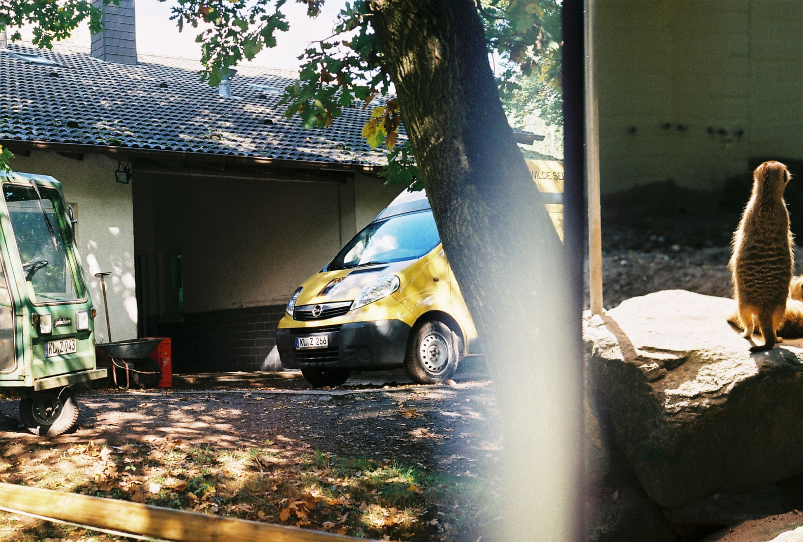 f1000007.jpg