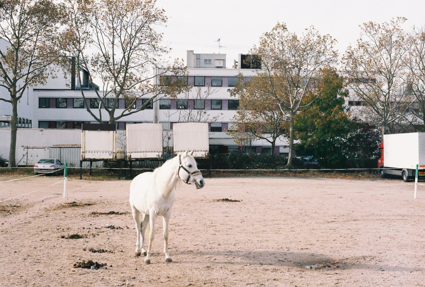 f1000014.jpg
