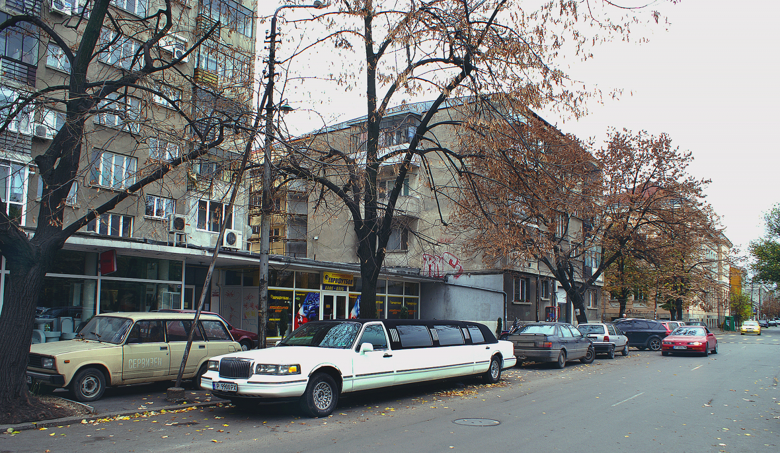 pict3206.jpg