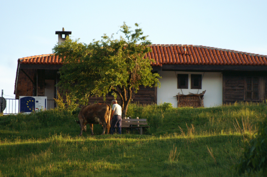 pict5412.jpg