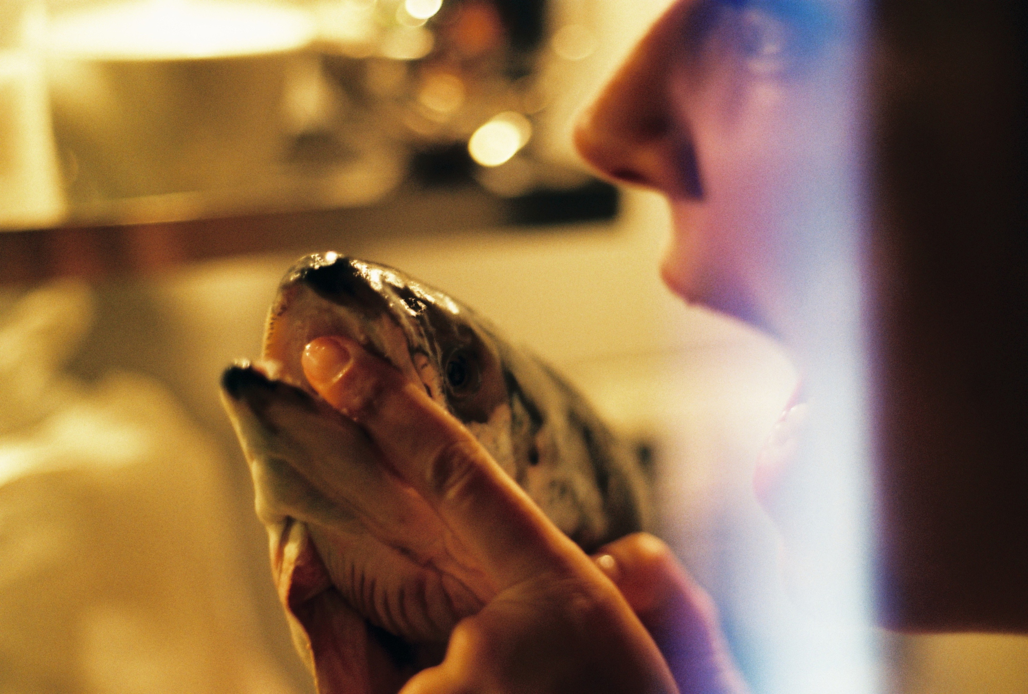 jim was always known to be a tricky fisher. the draft was always excellent those days