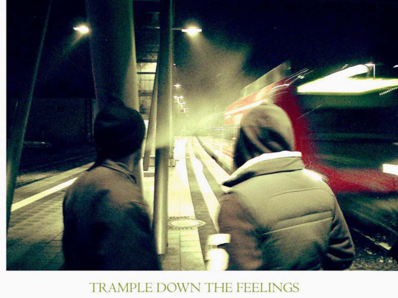 trample_down_the_feelings1.jpg