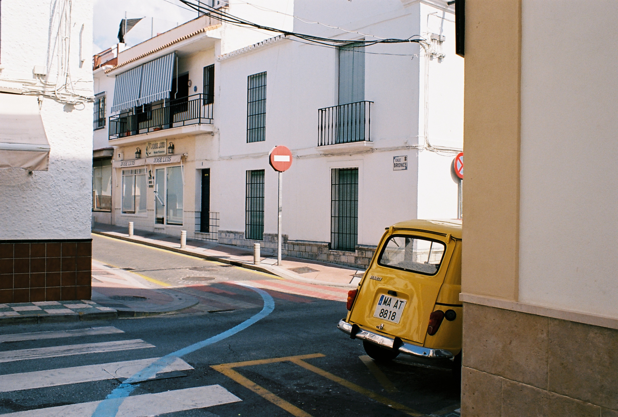 spanish mosquito (8)