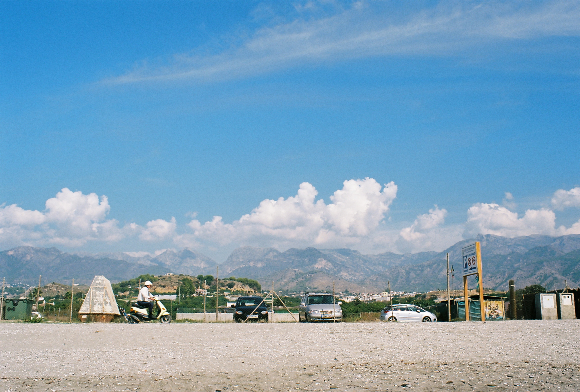 spanish mosquito (32)