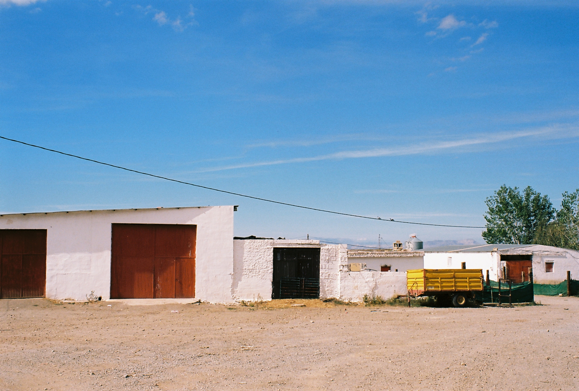 spanish mosquito (46)