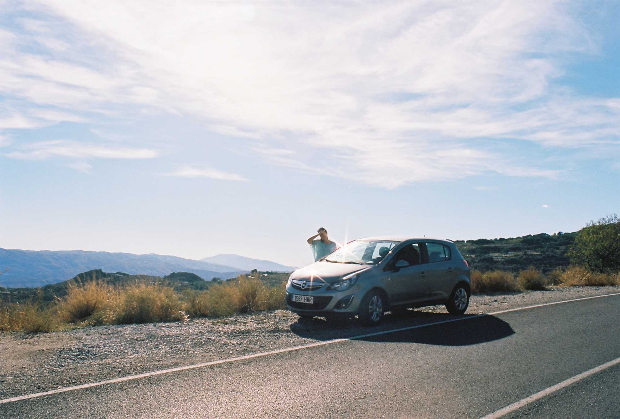 spanish mosquito (74)