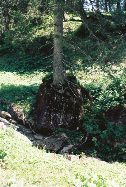 F1000024.jpg