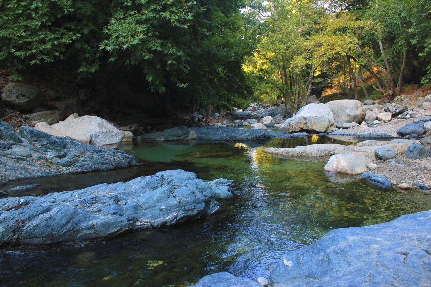 20150924005054-98b64c8a.jpg