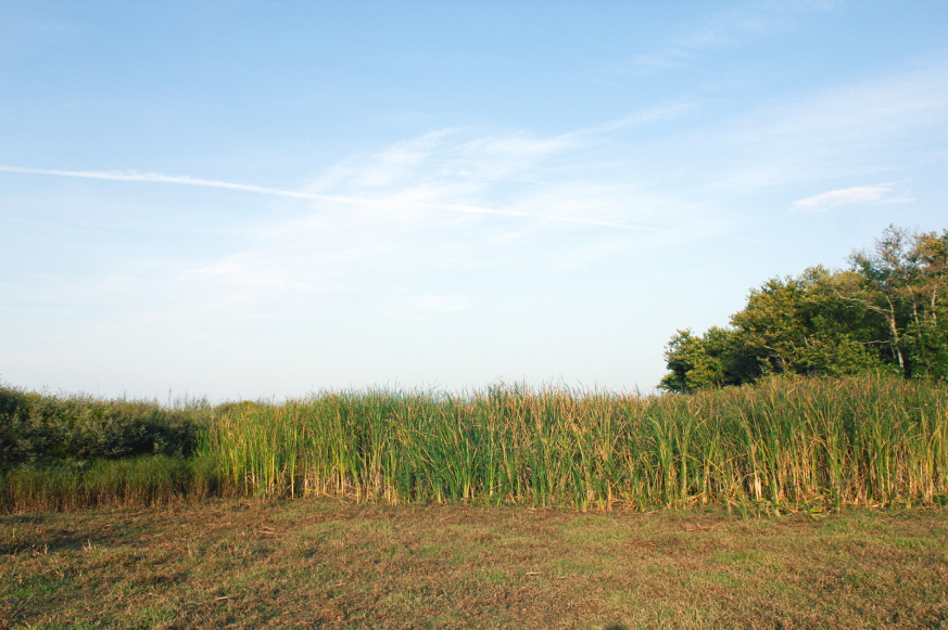 20150924005318-cbcbcc2c.jpg