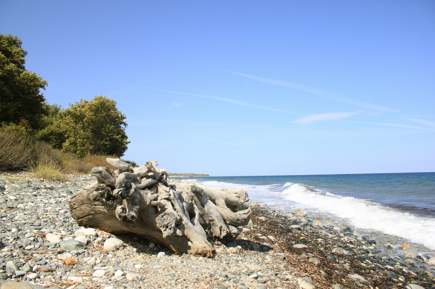 IMG_7921.JPG