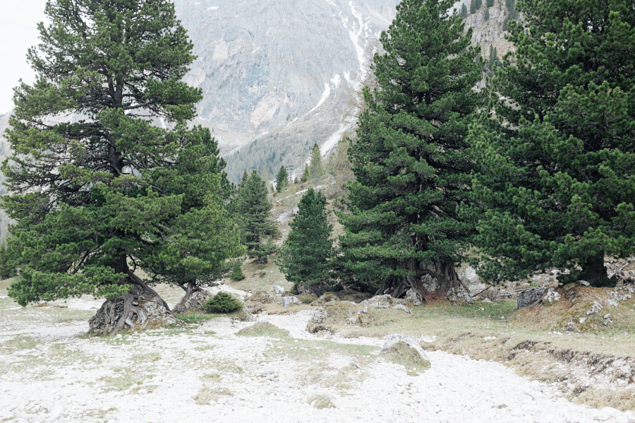 DSCF3481-F.jpg