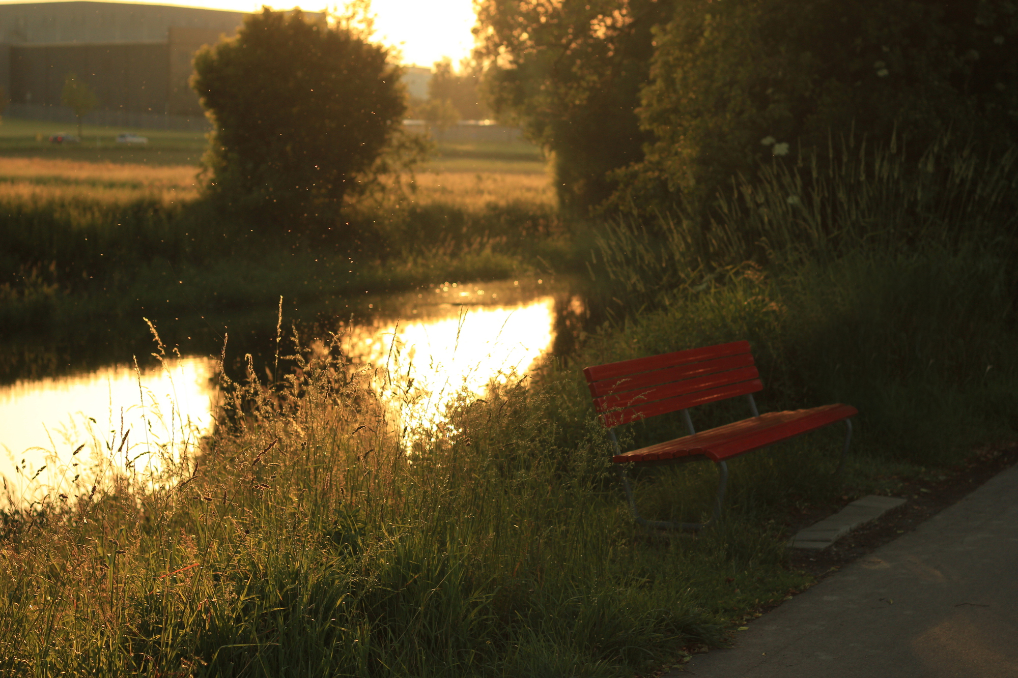 airport's backyard