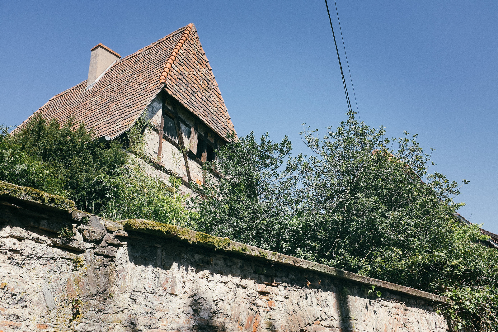 DSCF3241-F.jpg