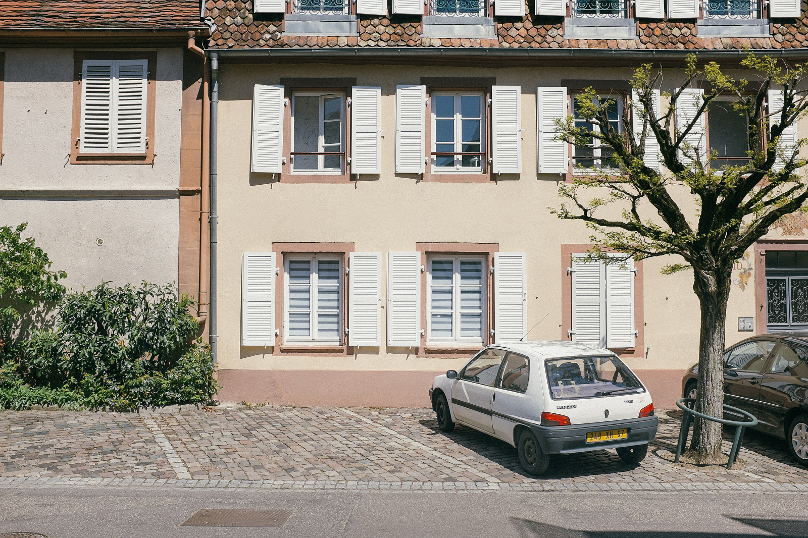 DSCF3247-F.jpg