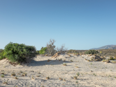 Crete (Κρήτη), September 2020