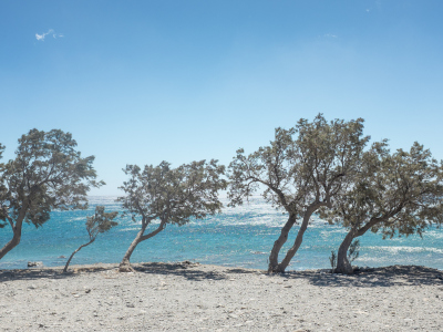 Crete (Κρήτη), September 2020