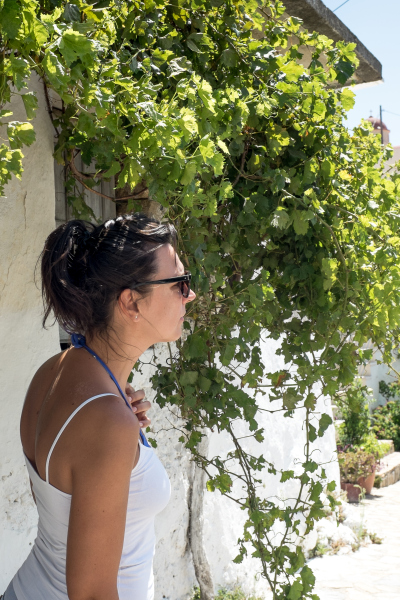 sommer 2020 kreta armeni (333).jpg