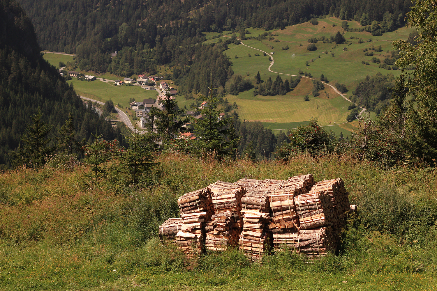 Alpine views