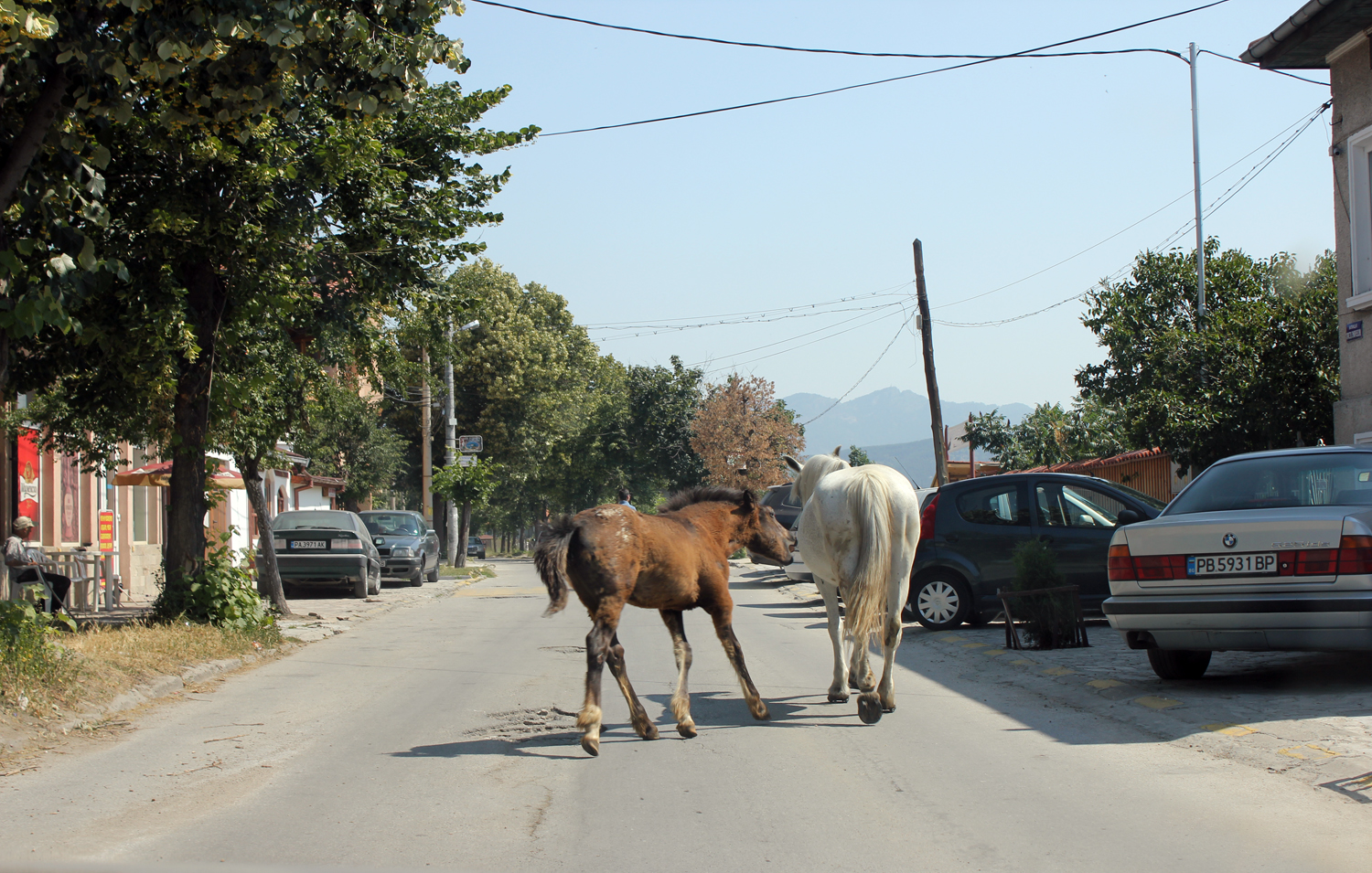 welcome to velingrad