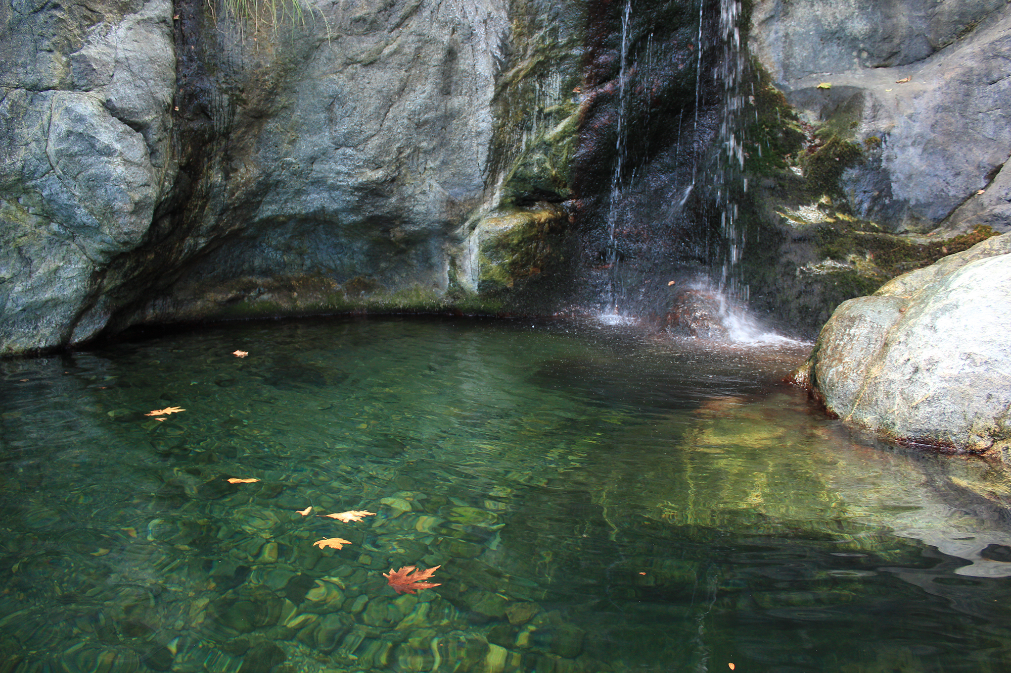 waterfall with leaves